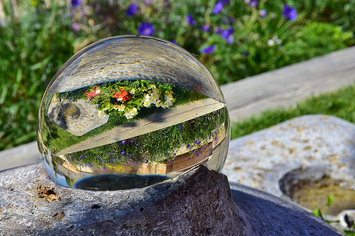 bola de vidre, reflectint, flors, flors de colors, jardí, herba, reflexió