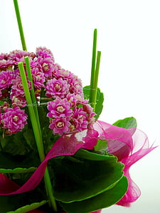 flower, arrangement, deco, table decoration, decoration, flora, plant