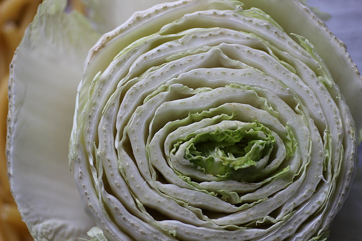 chinese cabbage, cross section, winter vegetables, kohl, close, food, cook