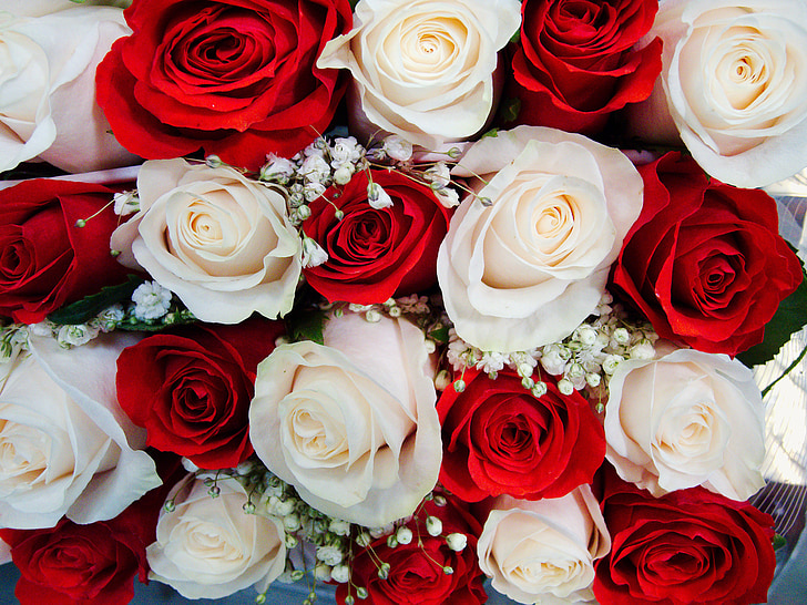 rozen, bruiloft, boeket, rood, wit, romantiek, zomer