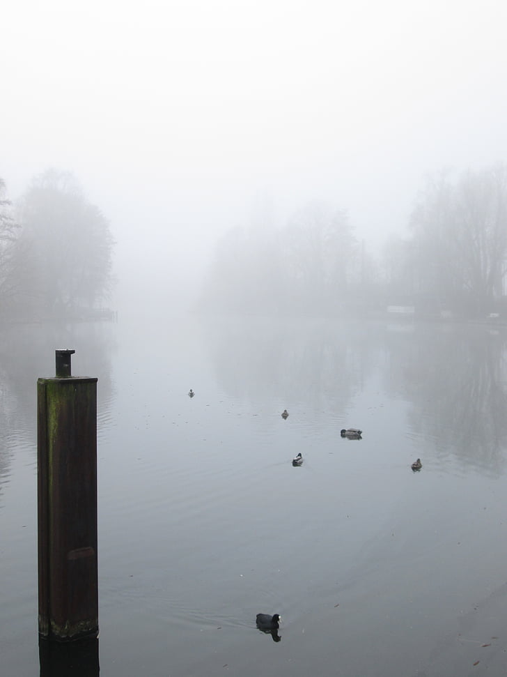 fog, weather, ground fog, lake