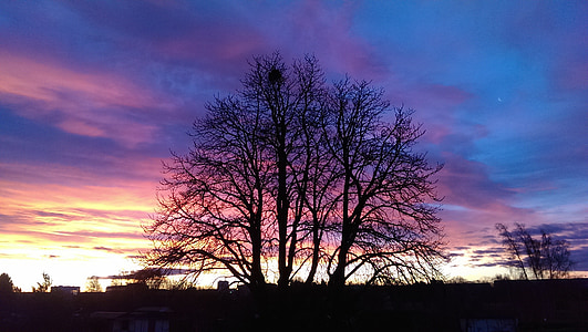 zachód słońca, drzewa, naturalny spektakl, niebo, spektakularne, kolorowe, blask