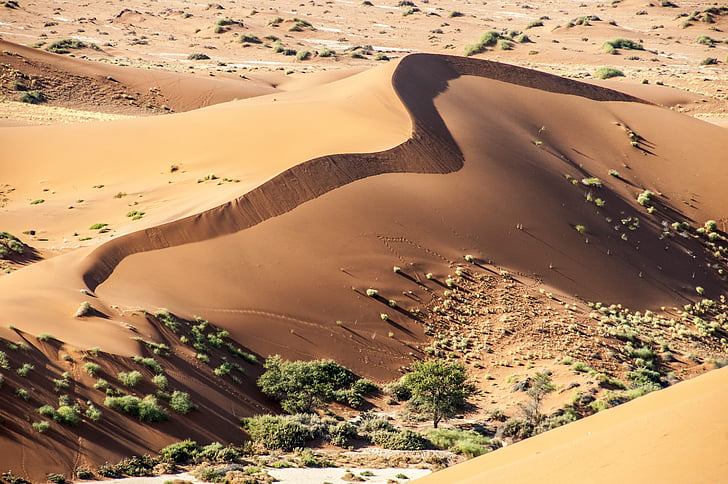Namibia, wolwedans, Namib krawędzi, Pustynia, od, piasek, Natura