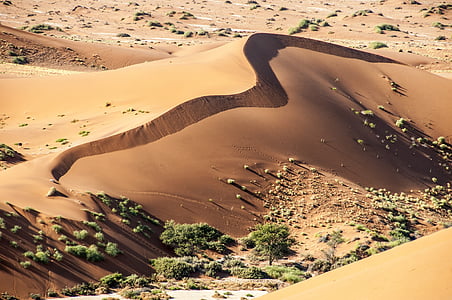 Namibie, Wolwedans, bord du Namib, désert, suite, sable, nature