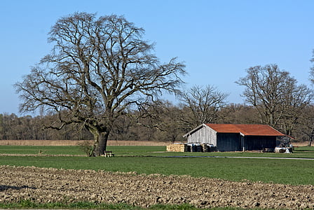 landscape, nature, chiemgau, upper bavaria, tree, barn, field barn
