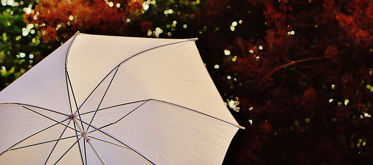 parasoll, skärmen, solen, solljus, skydd, ljus, skugga träd