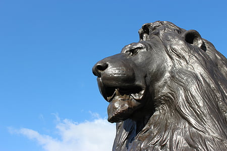 Leo, Londres, Praça Trafalgar, estátua, céu