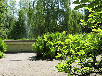 公园, 景观, 树, 自然, 绿色, 在法院的, 喷泉
