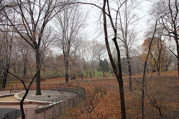 Park, Nowy Jork, centrum, new york city, Manhattan, upadek, jesień
