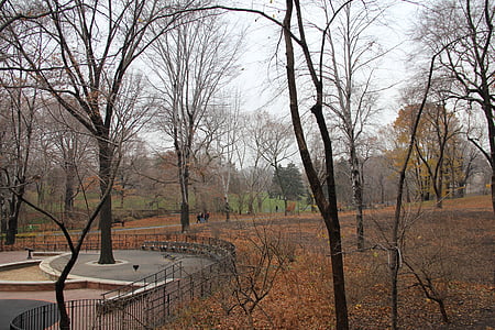 Park, New york, centrale, New york city, Manhattan, falder, efterår