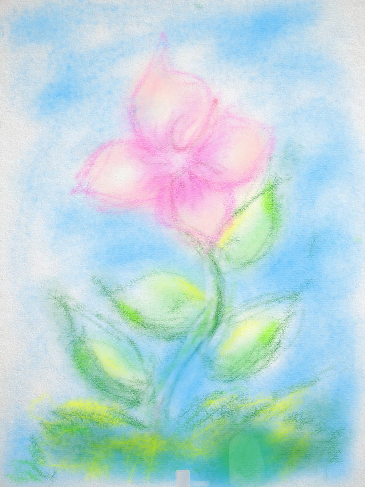 drawing, flower, pastels, multi colored, science, close-up, blue