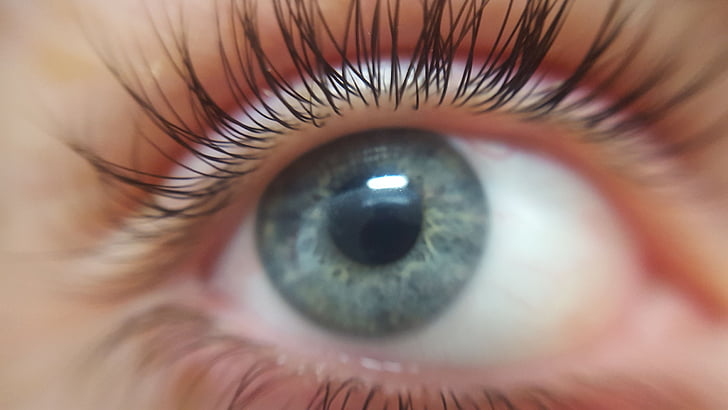 eye, eyelashes, eyeball, blue-eyed, blue eyes, focus point, skin