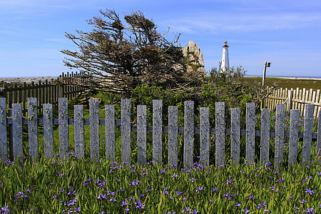 Lighthouse, vindpinade, Beacon, kusten, staket, landskap, maritima