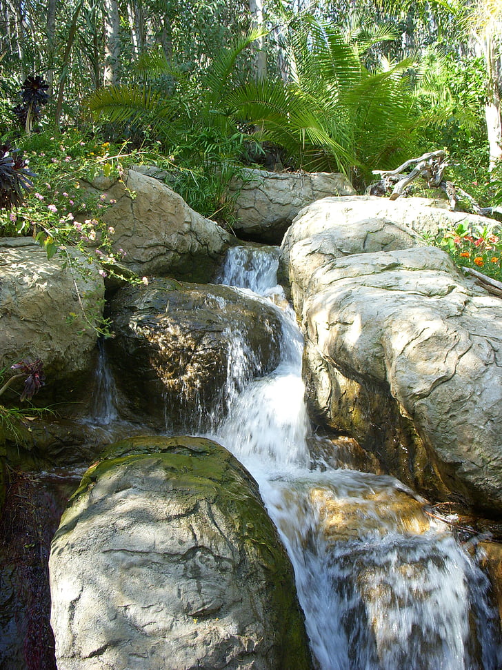 stream, wilderness, water, waterfall, cascades, rock, forest