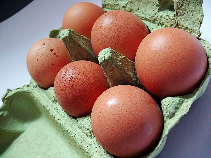 huevo, cartón del huevo, huevos de gallina, alimentos, caja de huevo, huevos marrones, empaquetado del huevo