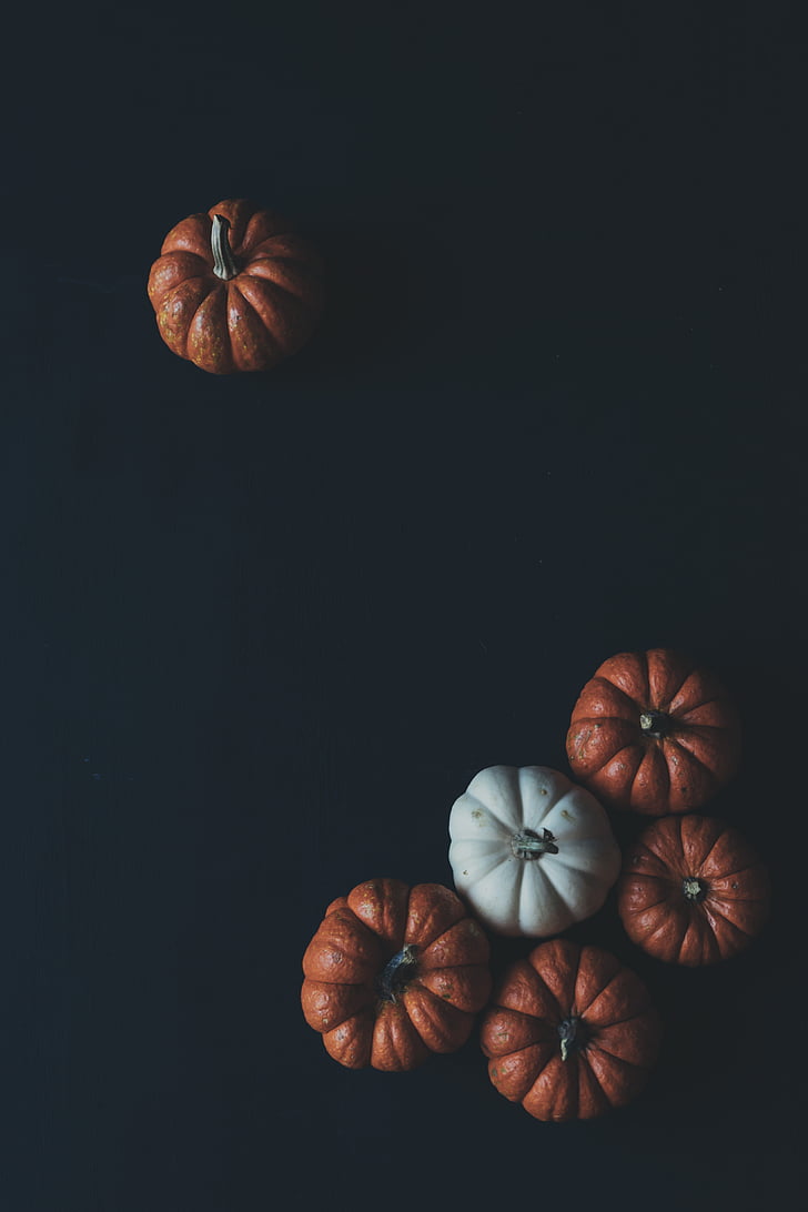 five, fruits, dark, surface, halloween, bunch, pumpkin