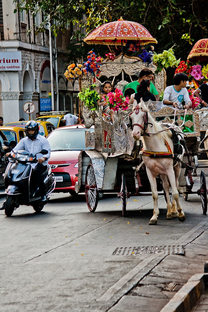 horse carriage, horse, victorian, india, traffic, street, road