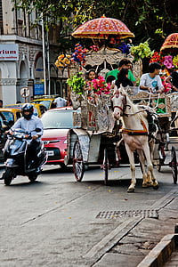 paard en wagen, paard, Victoriaanse, India, verkeer, Straat, weg