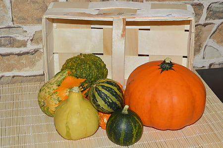 labu, squashes dekoratif, dekorasi, musim gugur, warna-warni, musim gugur sayuran, pertanian