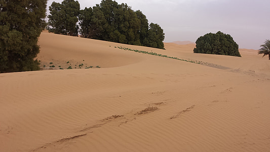 Marocko, öken, Sand, marroc