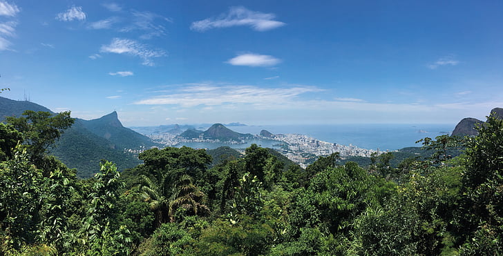 Rio, paisatge, Selva