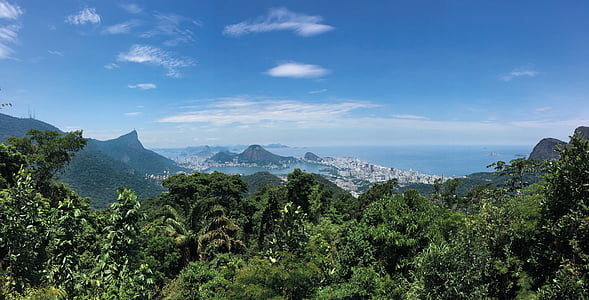 Rio, maastik, Selva