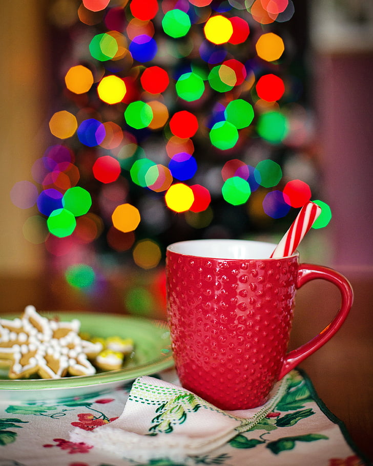 coklat panas, Natal, pohon Natal, lampu Natal, nyaman, kue Natal, cokelat