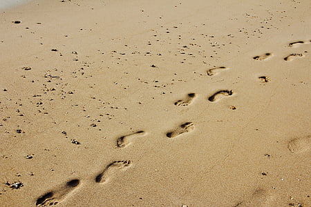footprints, sand, sun, tracks in the sand, traces, footprints in the sand, footprint