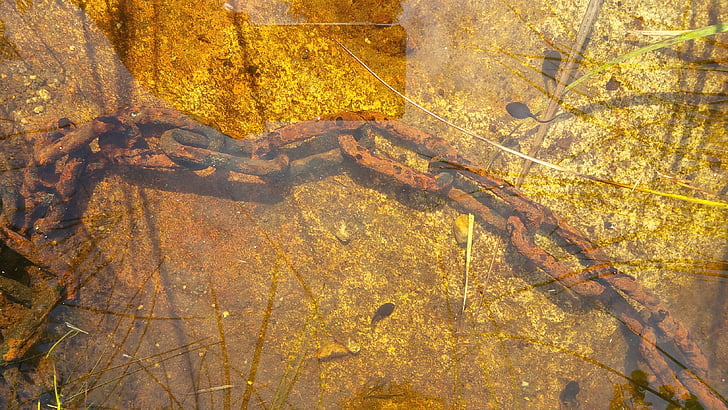 chain, lake, bed, rusty, water, bottom, saturated