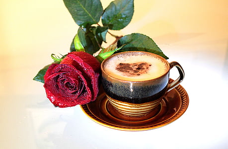 cà phê, Hoa hồng, Cúp quốc gia, bọt, thức uống, nhiệt độ - nhiệt độ, Bữa sáng