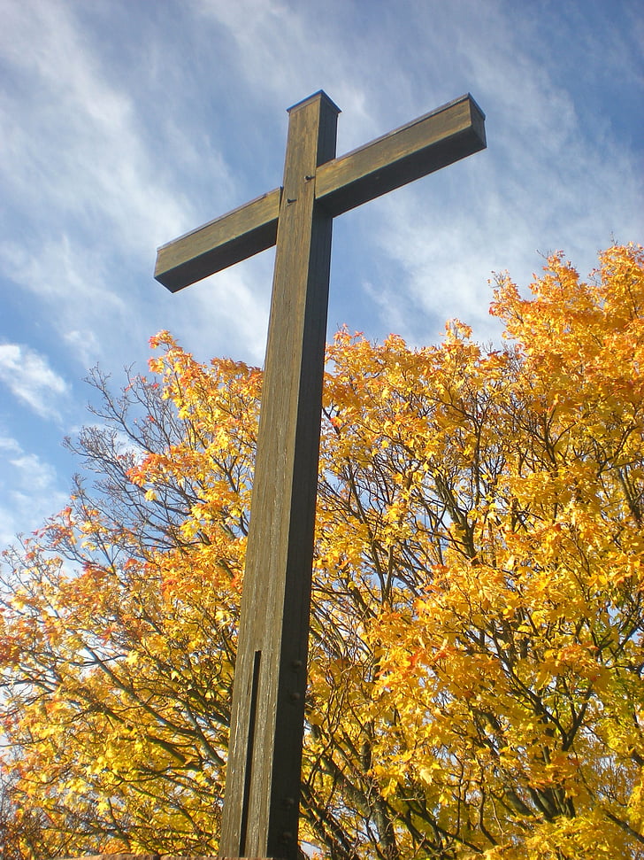 Croix, arbre, automne, christianisme, religion, crucifix, spiritualité