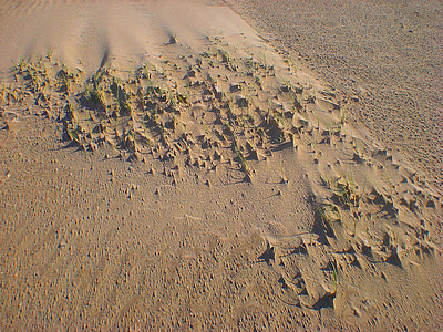 sand, dune, beach, sand beach, wind, wave, grains of sand