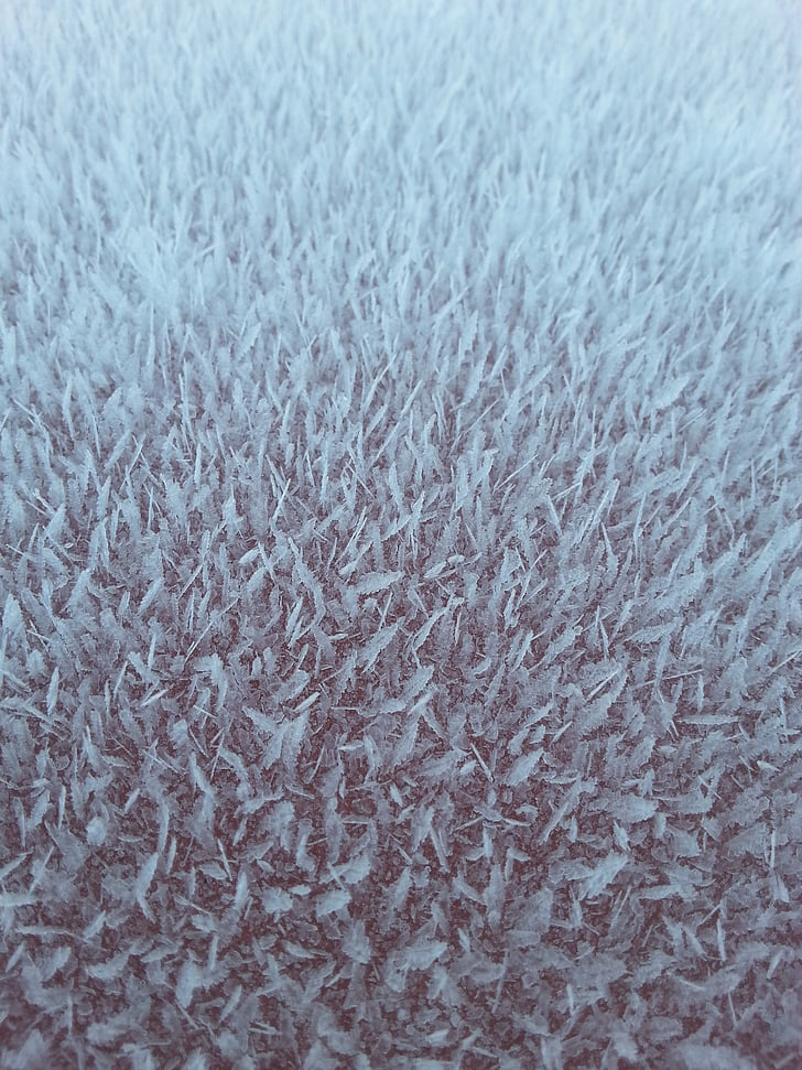 sương muối, Frost, pakkaskukka, mưa-d Hoa, tuyết, mùa đông, Phần Lan