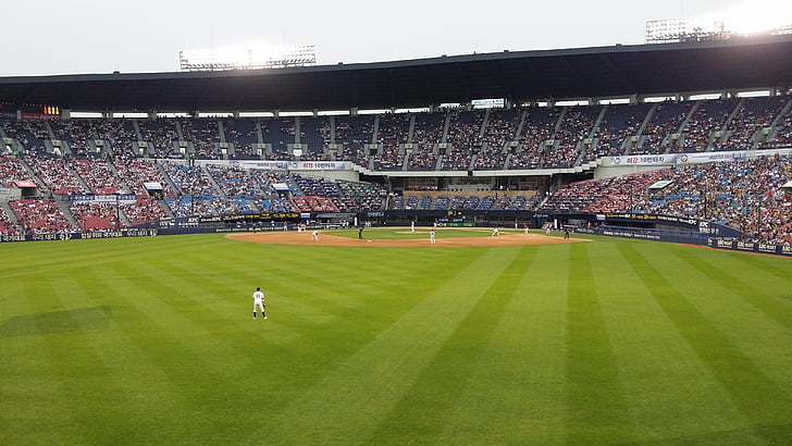 baseball field, the crowd, grass