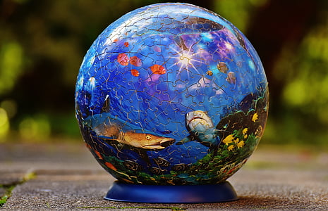 puzzle ball, underwater world, fish, shark puzzle, play, tricky, patience games