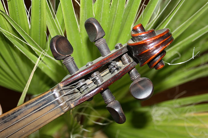 musik, violin, notenblatt, lyd, strengeinstrumenter, minutter, silhuetter