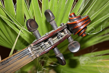 música, violí, notenblatt, so, instruments de corda, minuts, siluetes