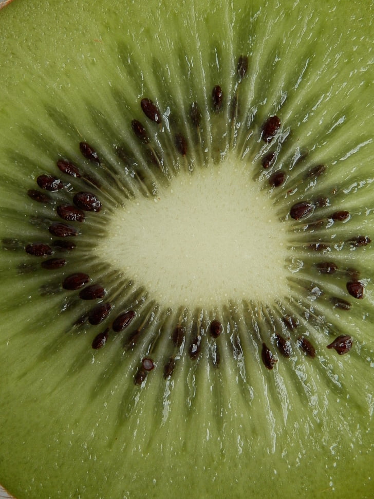 Kiwi, fruta, núcleos de, verde