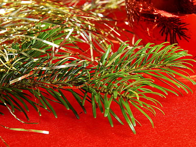 Christmas, Déco, décoration, Advent, décoration de Noël, Sapin de Noël, veille de Noël