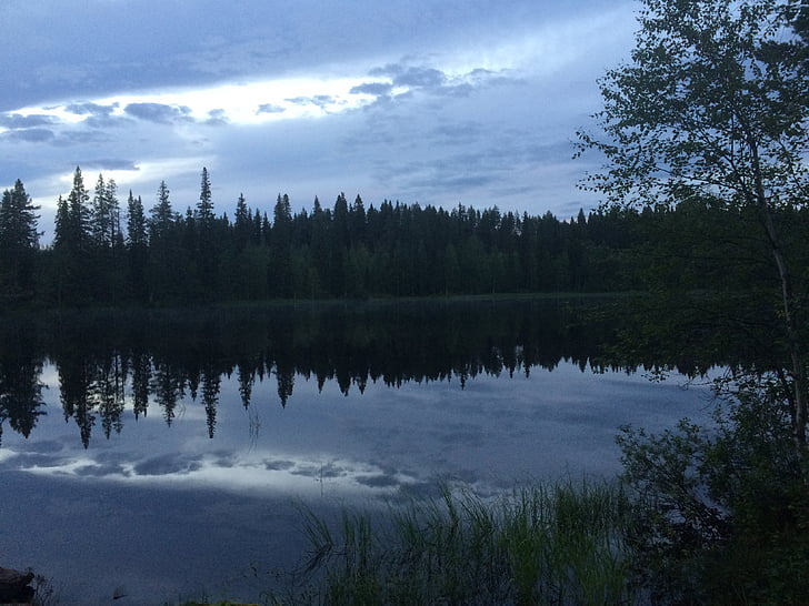 Lago, paisagem, Finlandês, Kainuu, praia, Verão, natureza
