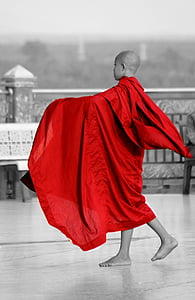 Monk, Burma, Myanmar, buddhistiska, mänskliga, röd