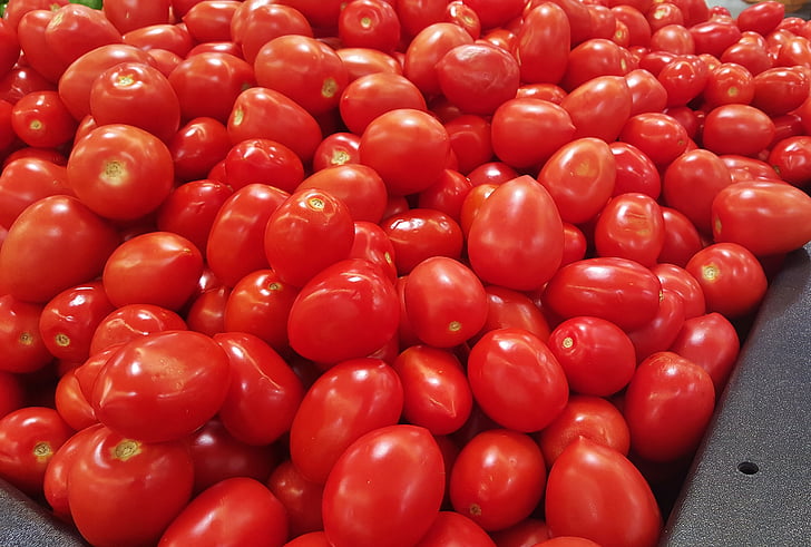 tomates, Tomate Saladet, alimentos, tienda de comestibles, rojo, verduras, producir