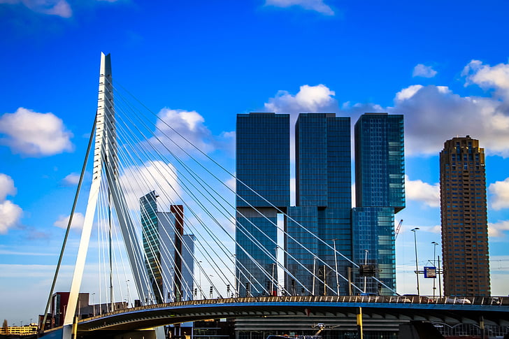 kék, Rotterdam, híd, Sky, Erasmus, építészet, híd - ember által létrehozott építmény