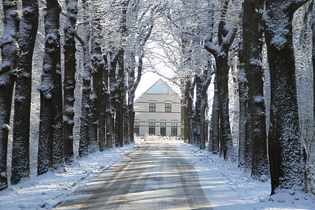 Zimní, sníh, Snow krajina, bílá, farma, rheebruggen, Drenthe
