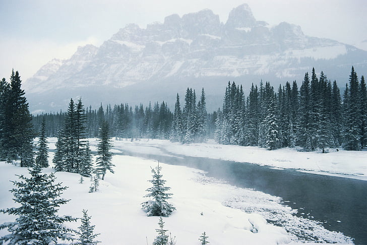 mountains, winter, white, season, trees, river, scenery