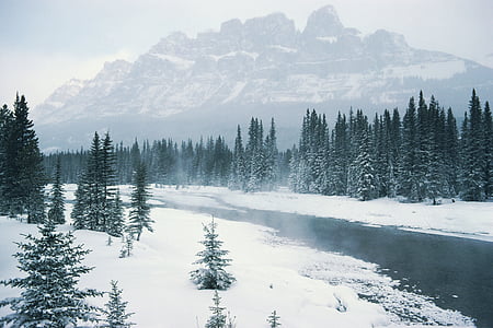 dağlar, Kış, Beyaz, Sezon, ağaçlar, nehir, sahne