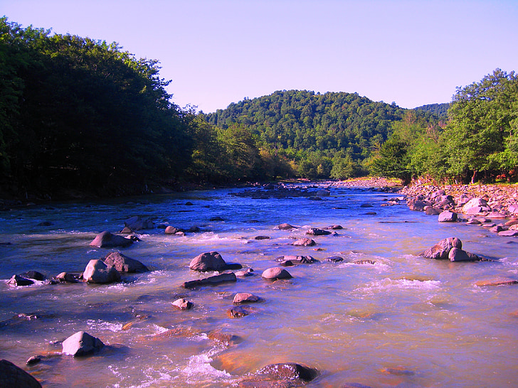 floden, naturen, Kutaisi, Imeretien, vatten, skogen, landskap