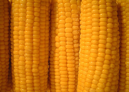 kukurūza, Corn par vālīšu, dārzeņi
