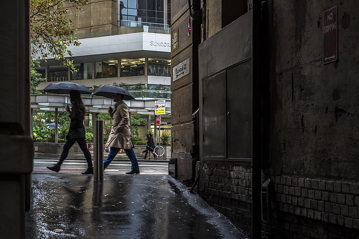 Sydney, dážď, daždivý deň, dáždniky, Ulica, scéna, alej