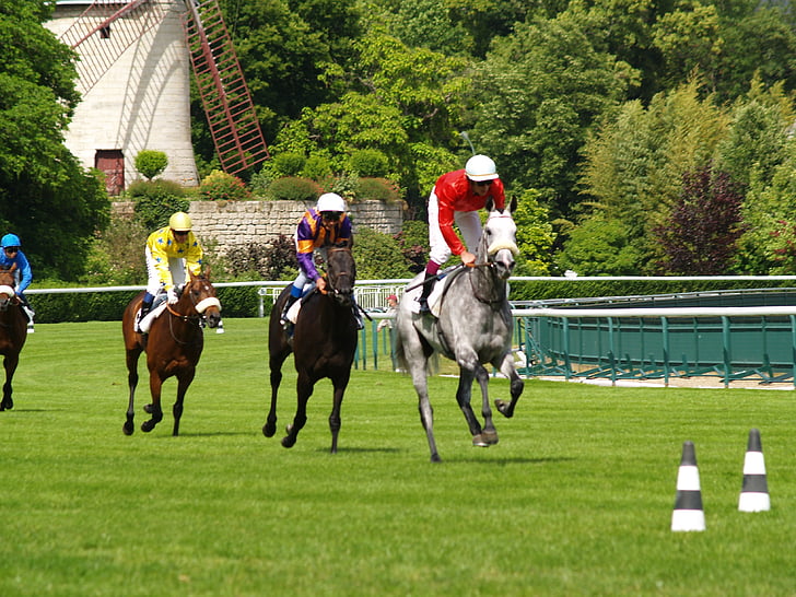 závod, kone, Vincennes, Paríž, Jazda na koni, konské dostihy, športové